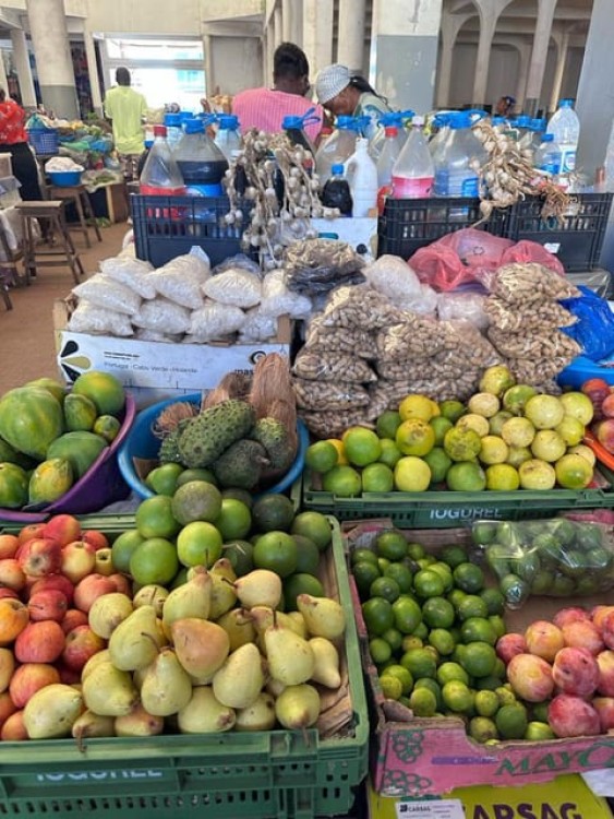 Praia: City Tour in Praia with Rural Villages | ®ExcursionMania