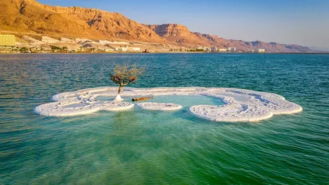 From Amman : Half-day tour to Dead sea and Crystal beach | ®ExcursionMania