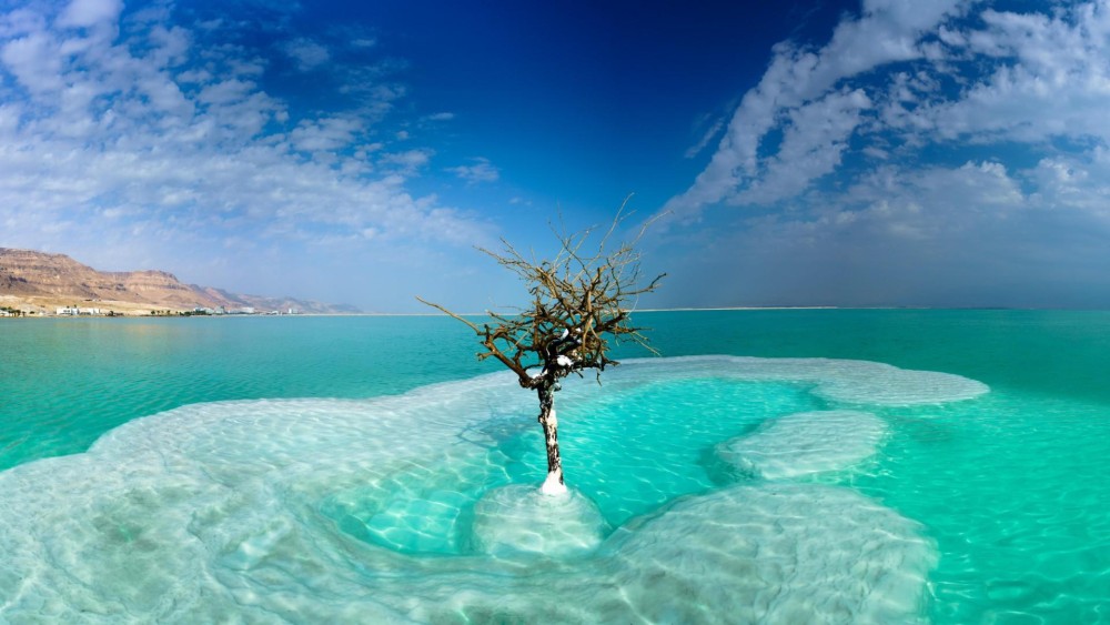 From Amman : Half-day tour to Dead sea and Crystal beach | ®ExcursionMania