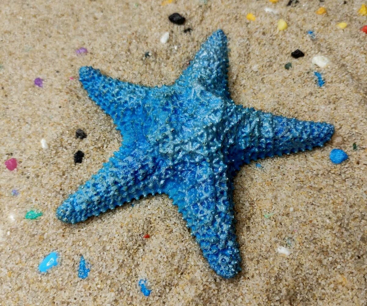 Zanzibar: Starfish, Blue Lagoon, and The Rock Restaurant | ®ExcursionMania