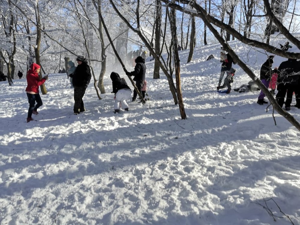 Day Trip to Tbilisi National Park: Magical Sabaduri Forest | ®ExcursionMania
