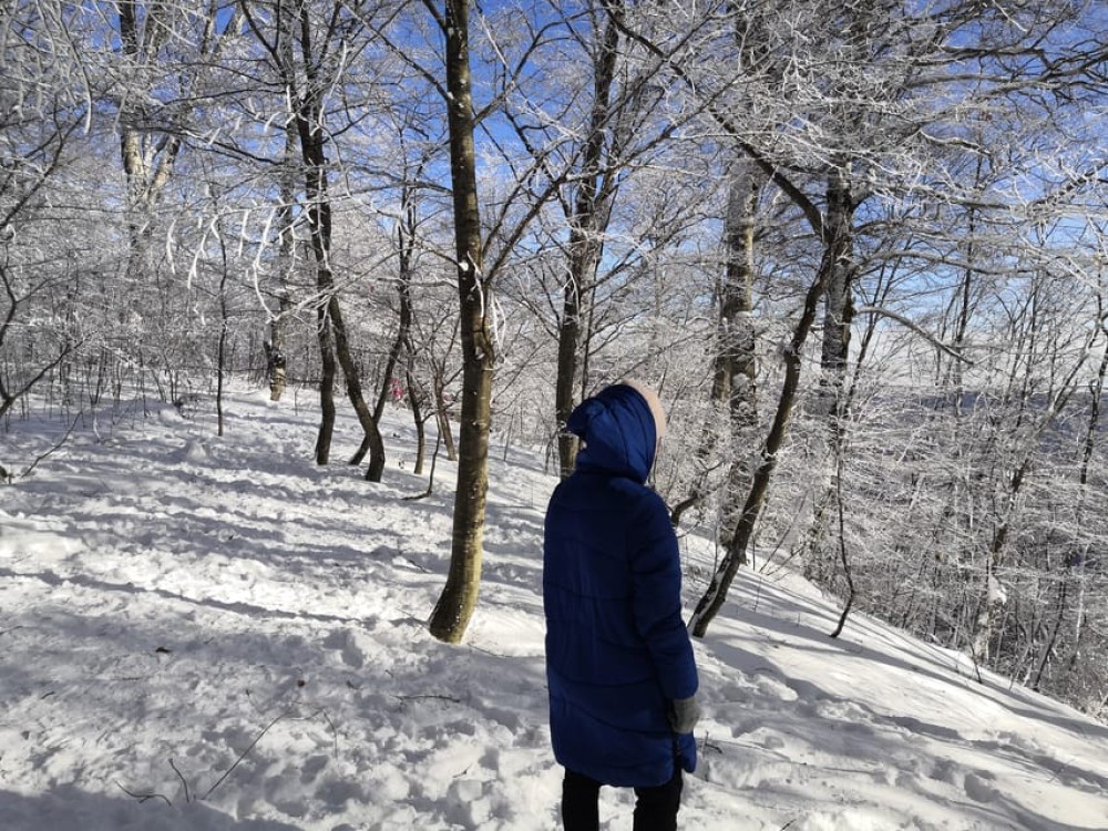 Day Trip to Tbilisi National Park: Magical Sabaduri Forest | ®ExcursionMania