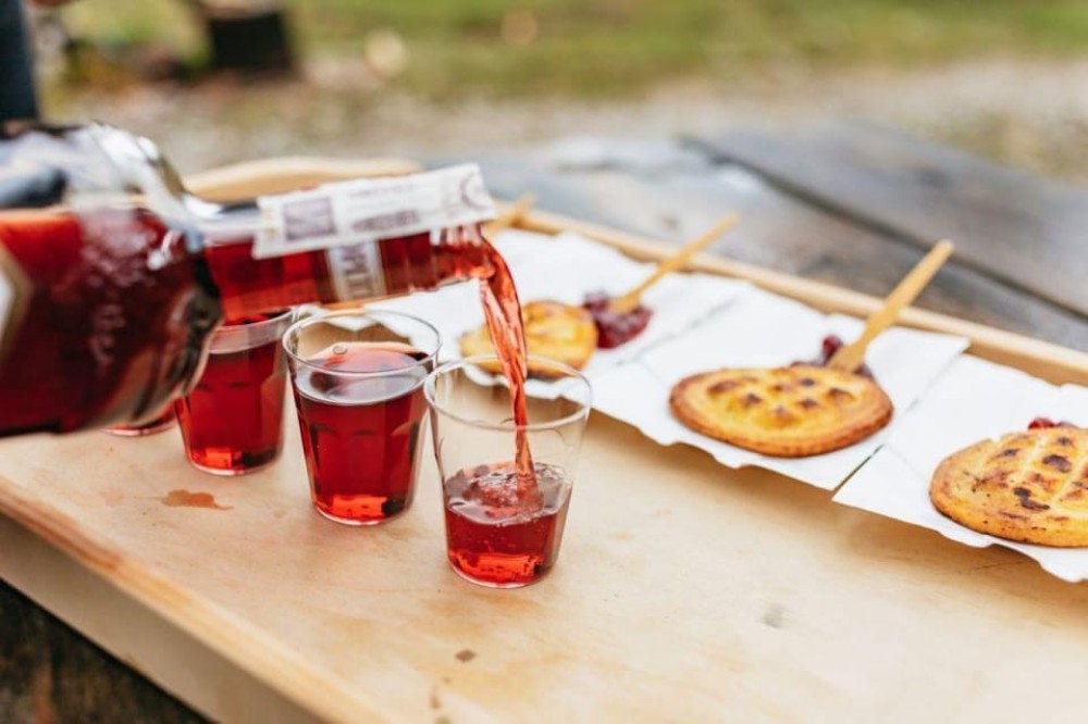Zakopane: Horse-Drawn Rides with Local Guide & Food Tasting | ®ExcursionMania