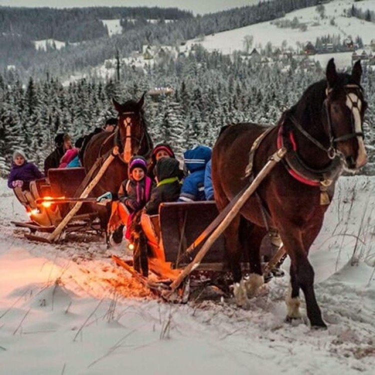 Zakopane: Horse-Drawn Rides with Local Guide & Food Tasting | ®ExcursionMania