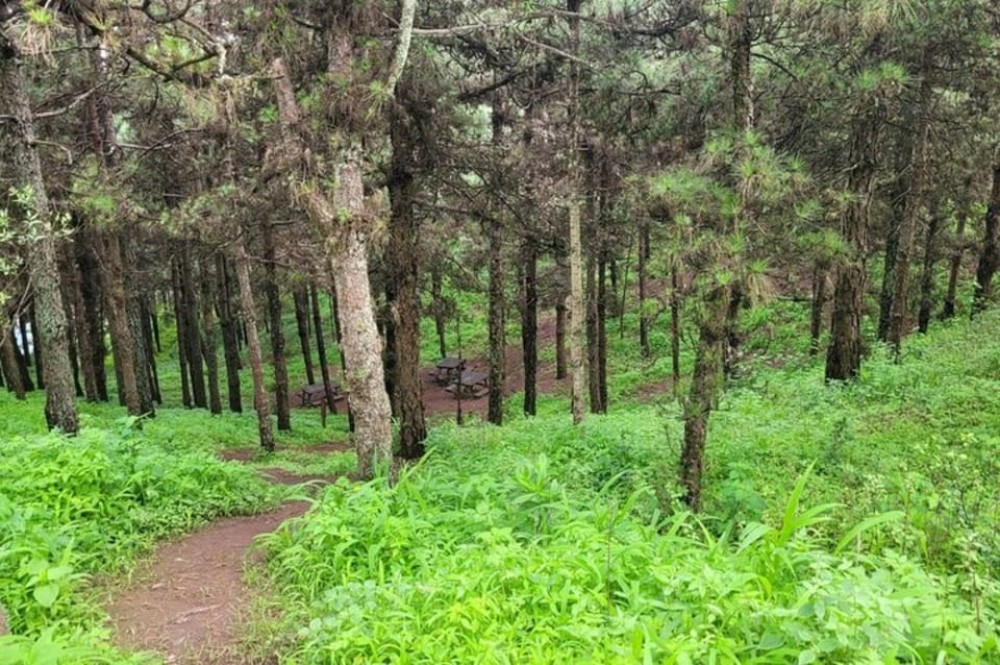Hike Serra Malagueta / Silver beach | ®ExcursionMania