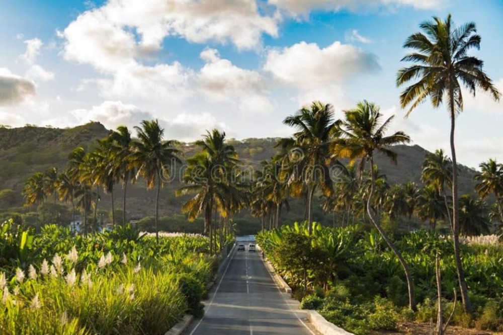 Hike Serra Malagueta / Silver beach | ®ExcursionMania