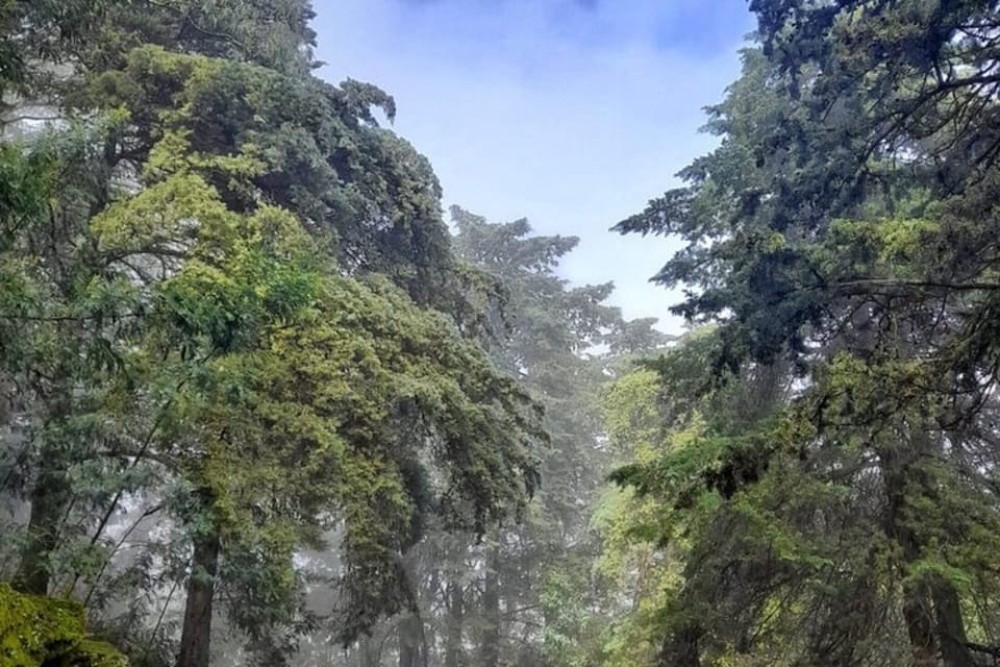 Discover Santo Antão in 1-Day Trip | ®ExcursionMania