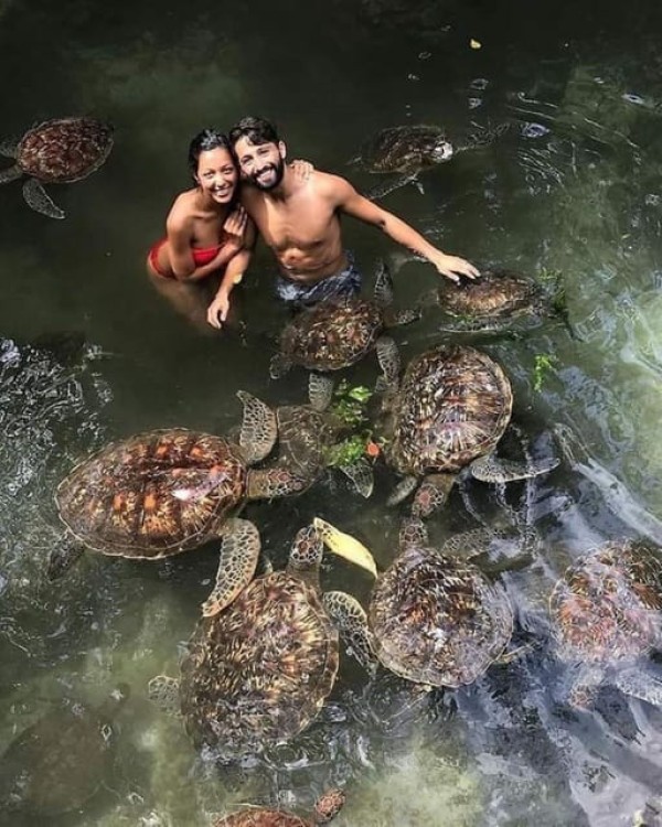 Nungwi Aqurium with sunset at kendwa Beach half day tour | ®ExcursionMania