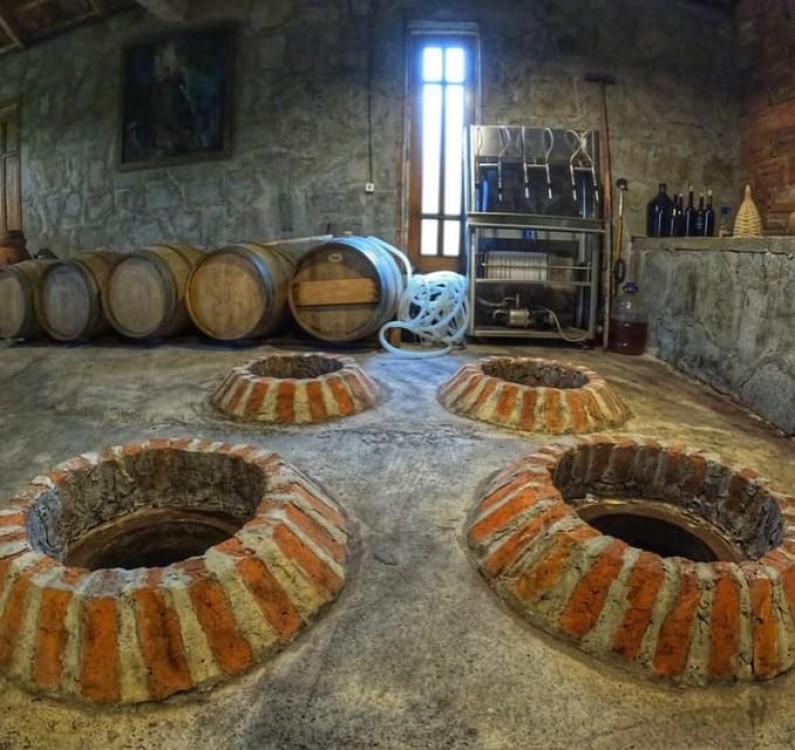 Batumi: Exploring Botanical Garden Family Wine Tasting | ®ExcursionMania