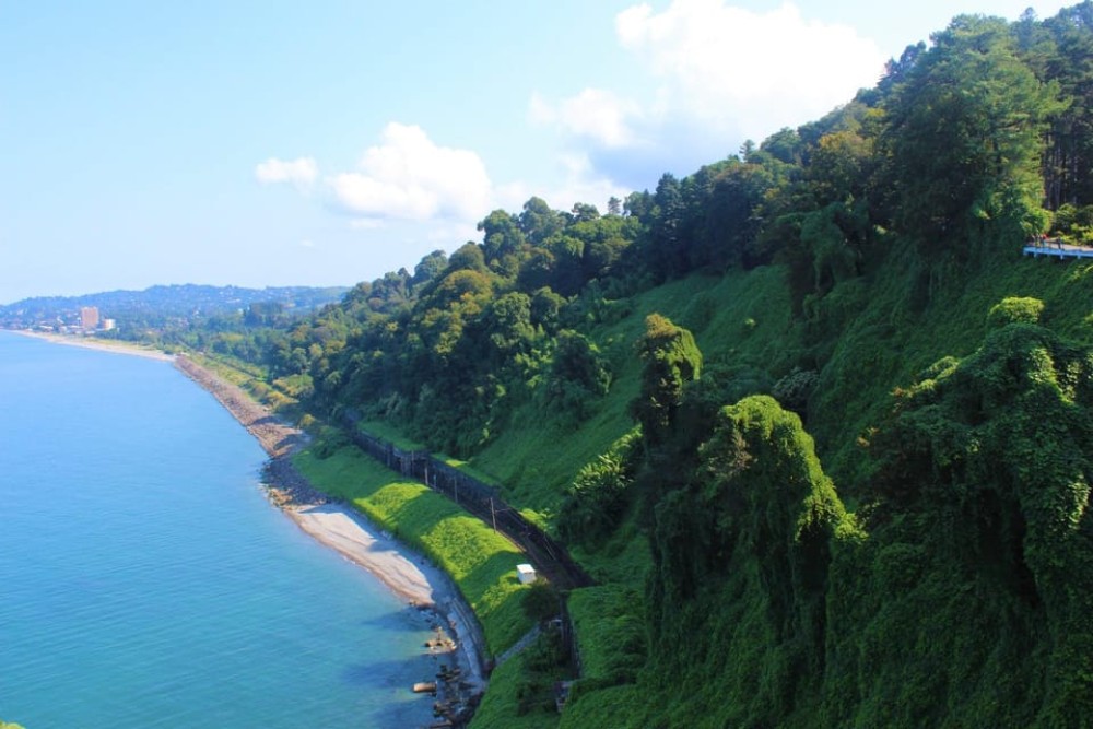 Batumi: Exploring Botanical Garden Family Wine Tasting | ®ExcursionMania