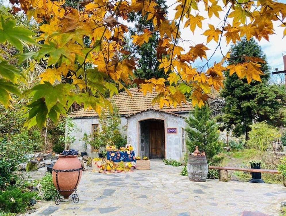 Batumi: Exploring Botanical Garden Family Wine Tasting | ®ExcursionMania