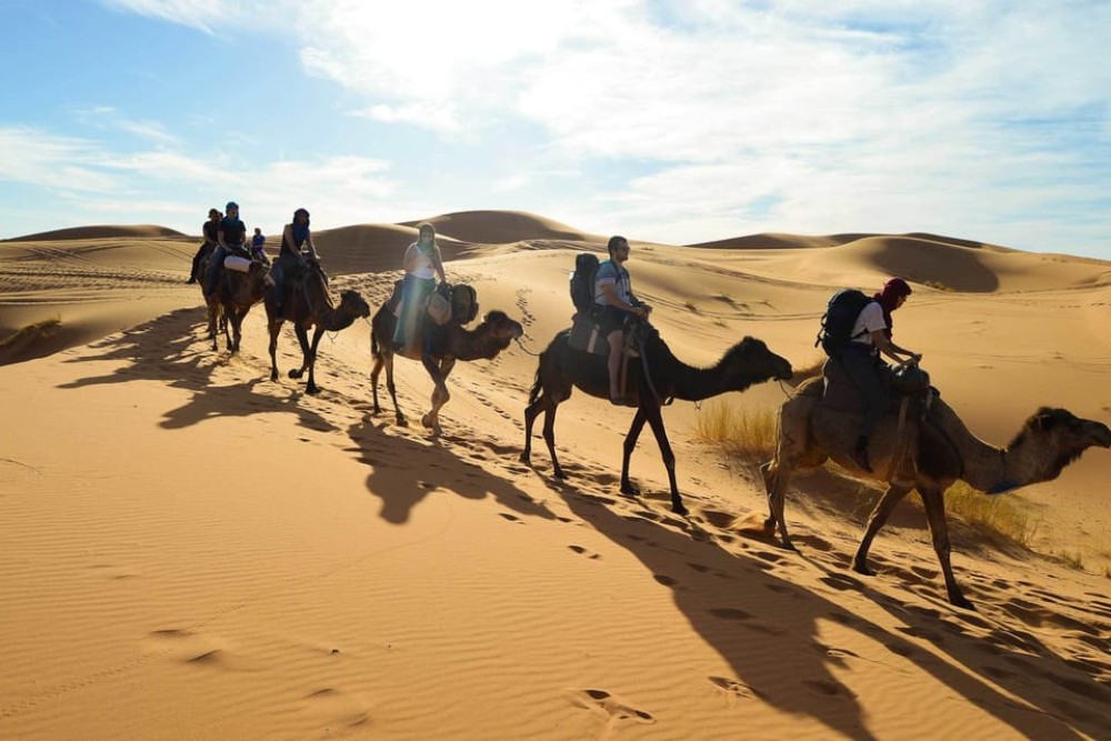 From Marrakech: 3-Day Desert Tour to Fes | ®ExcursionMania