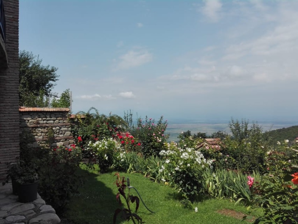 Kakheti: Individual Day Tour To Sighnaghi From Tbilisi | ®ExcursionMania