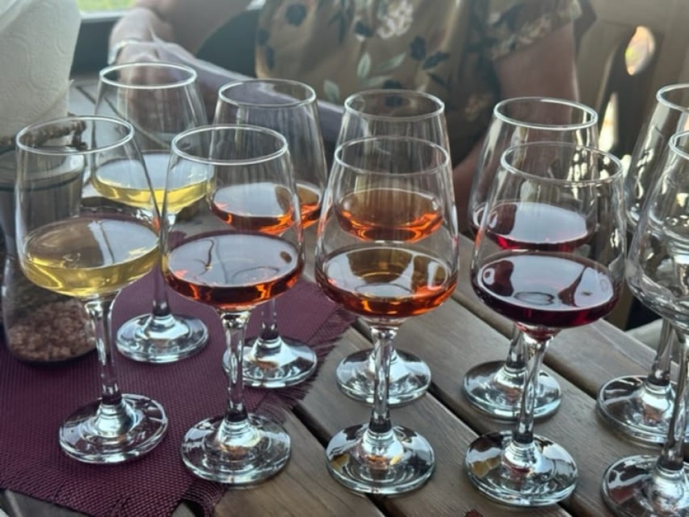 Tbilisi: Individual Wine Tasting with Professional Sommelier | ®ExcursionMania