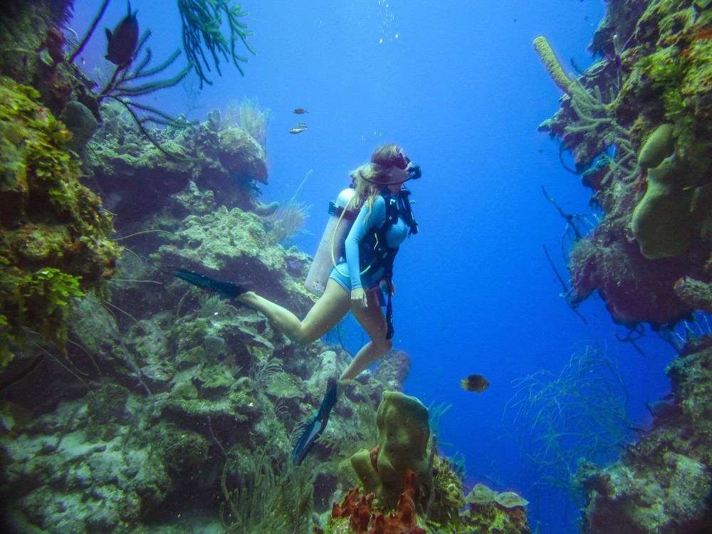 Kusadasi Diving Experience & Hotel Transfer w/ Lunch | ®ExcursionMania