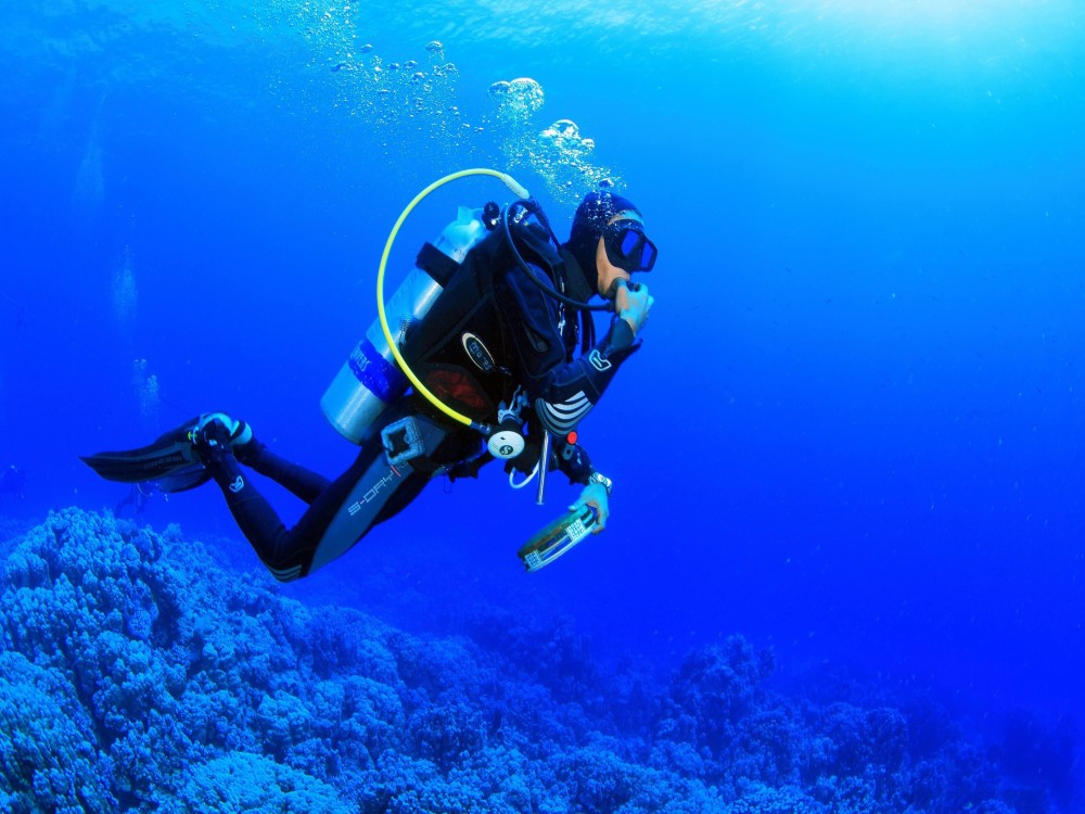 Kusadasi Diving Experience & Hotel Transfer w/ Lunch | ®ExcursionMania