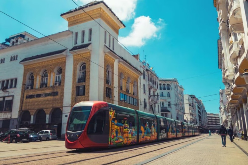 Historical and Cultural Casablanca Half-Day Guided Tour | ®ExcursionMania