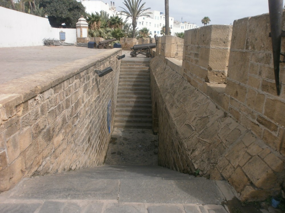 Historical and Cultural Casablanca Half-Day Guided Tour | ®ExcursionMania