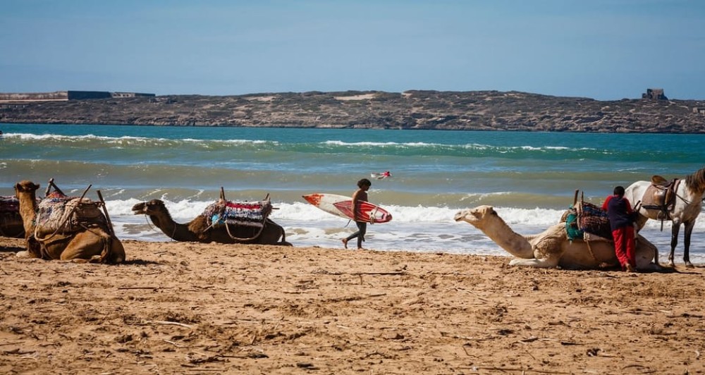 Essaouira: 2-Hour Camel Ride | ®ExcursionMania