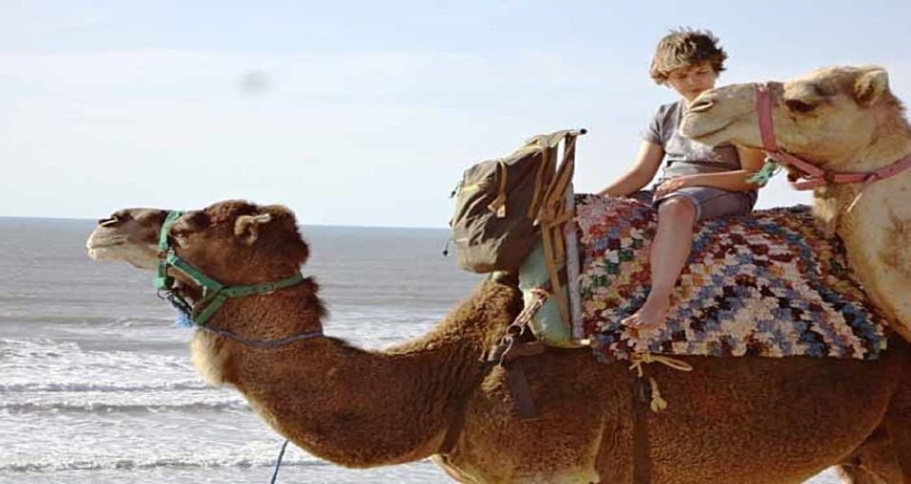 Essaouira: 2-Hour Camel Ride | ®ExcursionMania