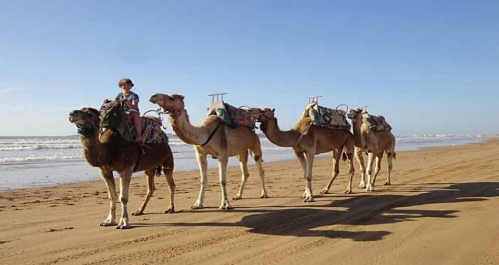 Essaouira: 2-Hour Camel Ride | ®ExcursionMania