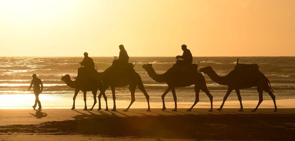 Essaouira: 2-Hour Camel Ride | ®ExcursionMania