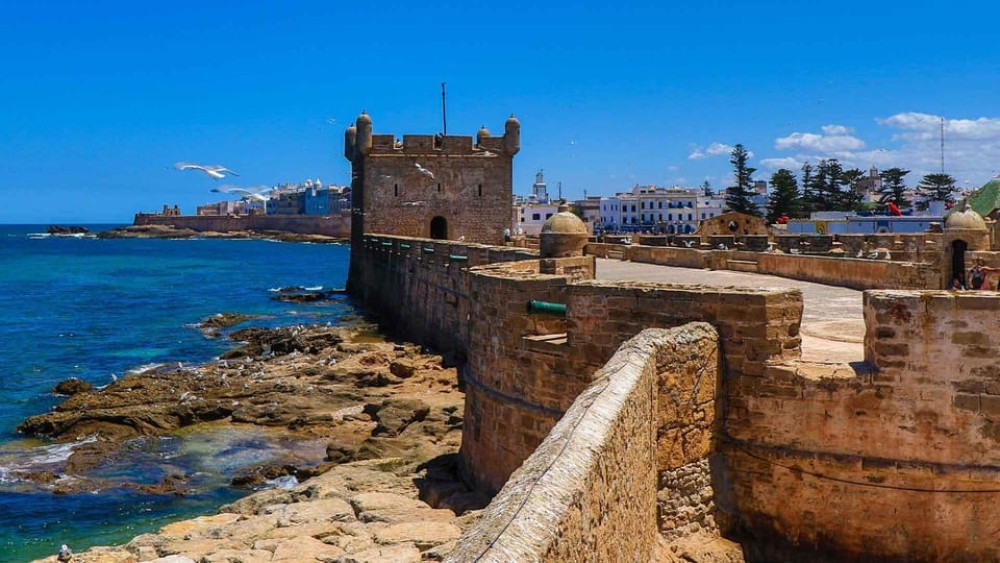 Essaouira: 2-Hour Camel Ride | ®ExcursionMania