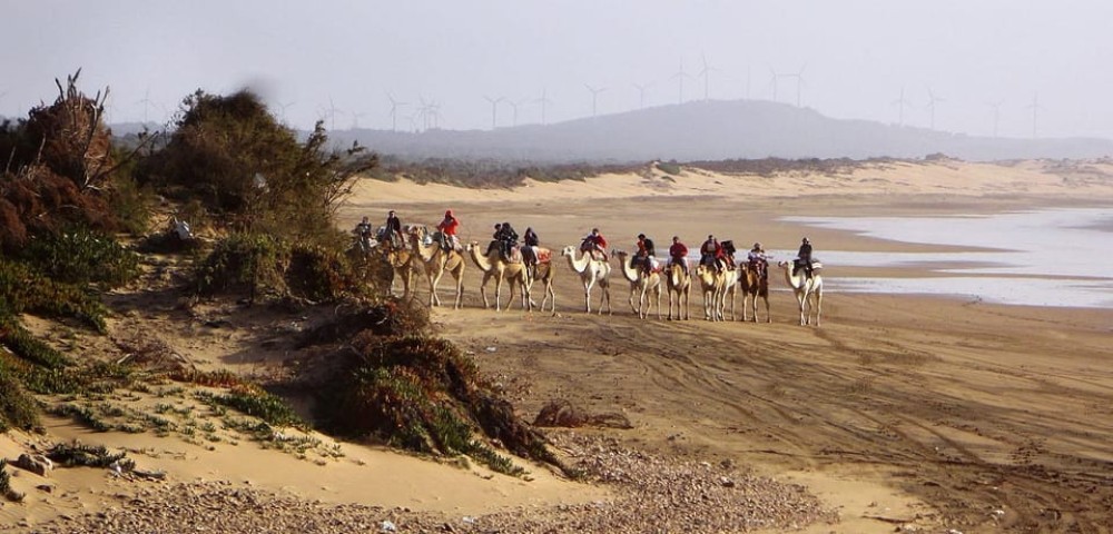 Essaouira: 2-Hour Camel Ride | ®ExcursionMania