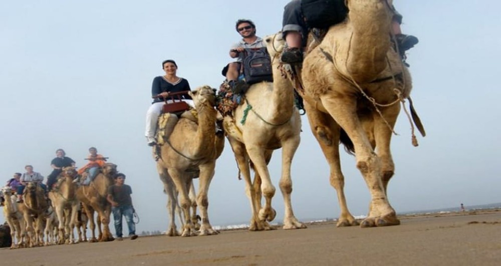 Essaouira: 2-Hour Camel Ride | ®ExcursionMania