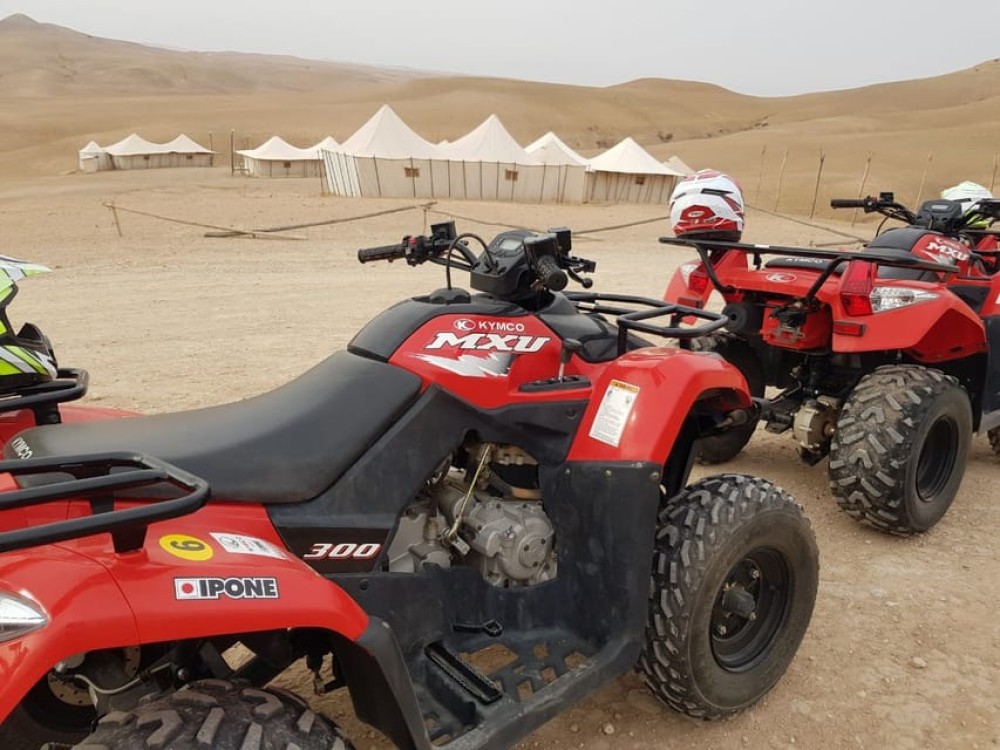 Marrakech: 3-Hour Quad Bike Adventure | ®ExcursionMania