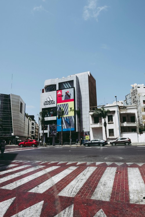 From ricks café to royal palaces: discovering casablanca | ®ExcursionMania