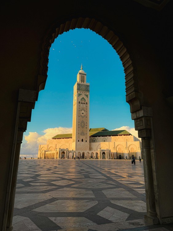 From ricks café to royal palaces: discovering casablanca | ®ExcursionMania