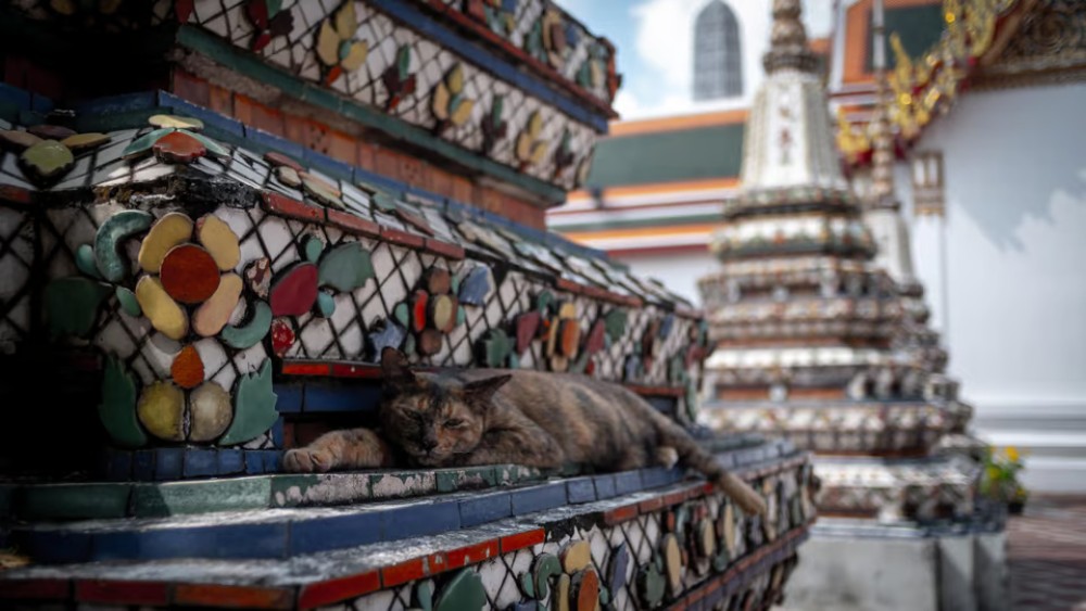 Bangkok: Grand Palace, Wat Pho and Wat Arun | ®ExcursionMania