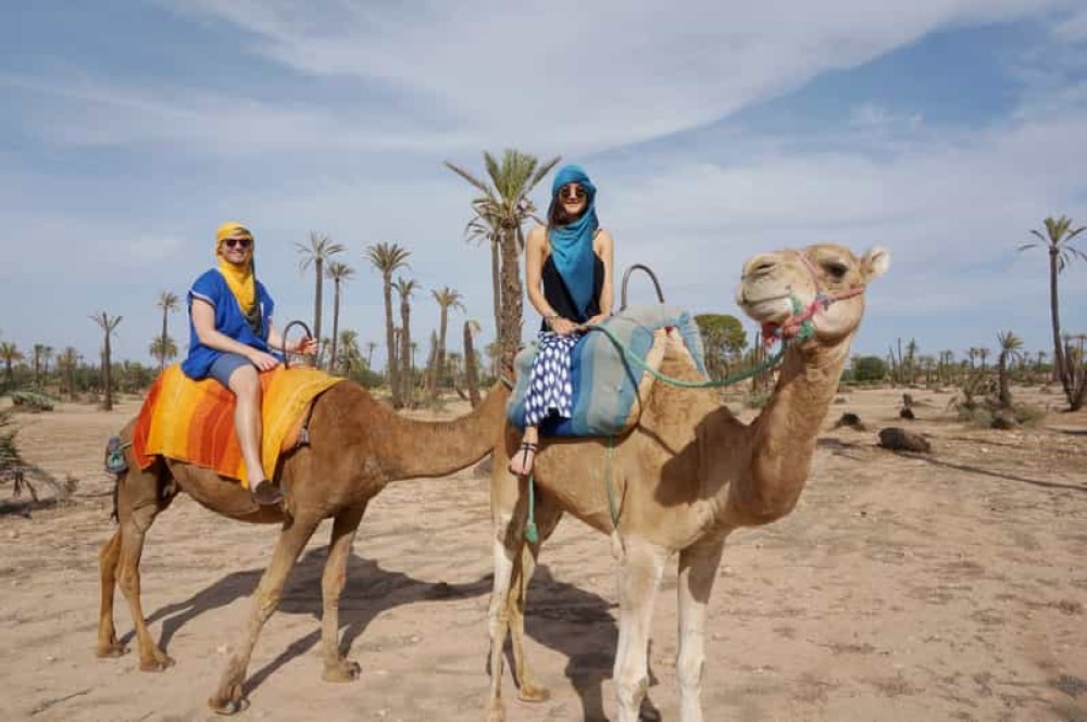 Camel Ride Palmeraie Marrakech Round Trip | ®ExcursionMania