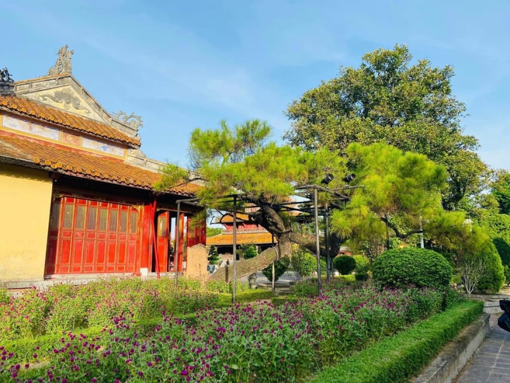 Hue Walking Tour To Imperial City and Dong Ba Market | ®ExcursionMania