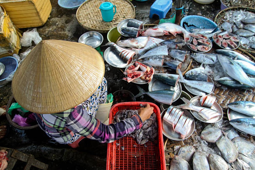 Hue Walking Tour To Imperial City and Dong Ba Market | ®ExcursionMania