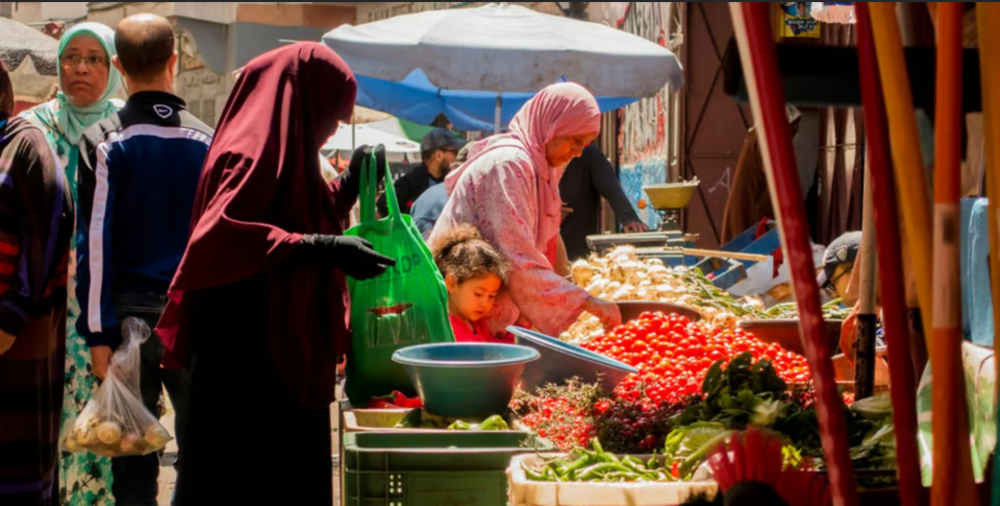 Casablanca: Layover Tour with Roundtrip Airport Transfer | ®ExcursionMania