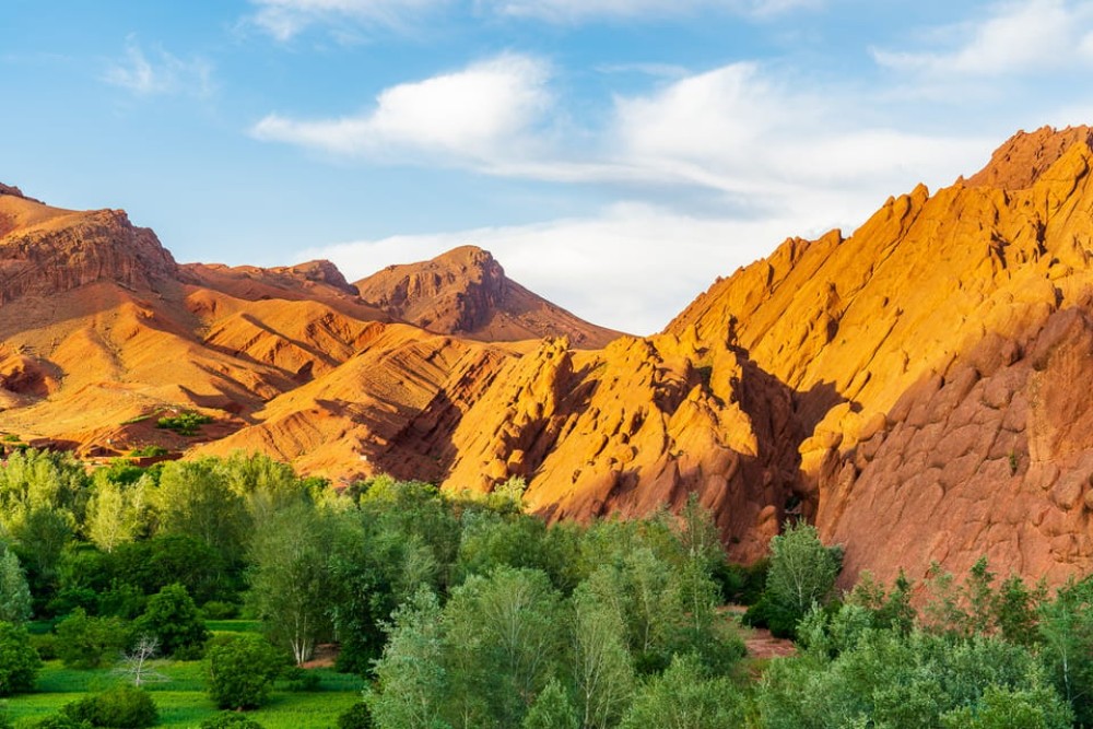 Marrakech: Berber Culture Experience & Atlas Mountains Tour | ®ExcursionMania