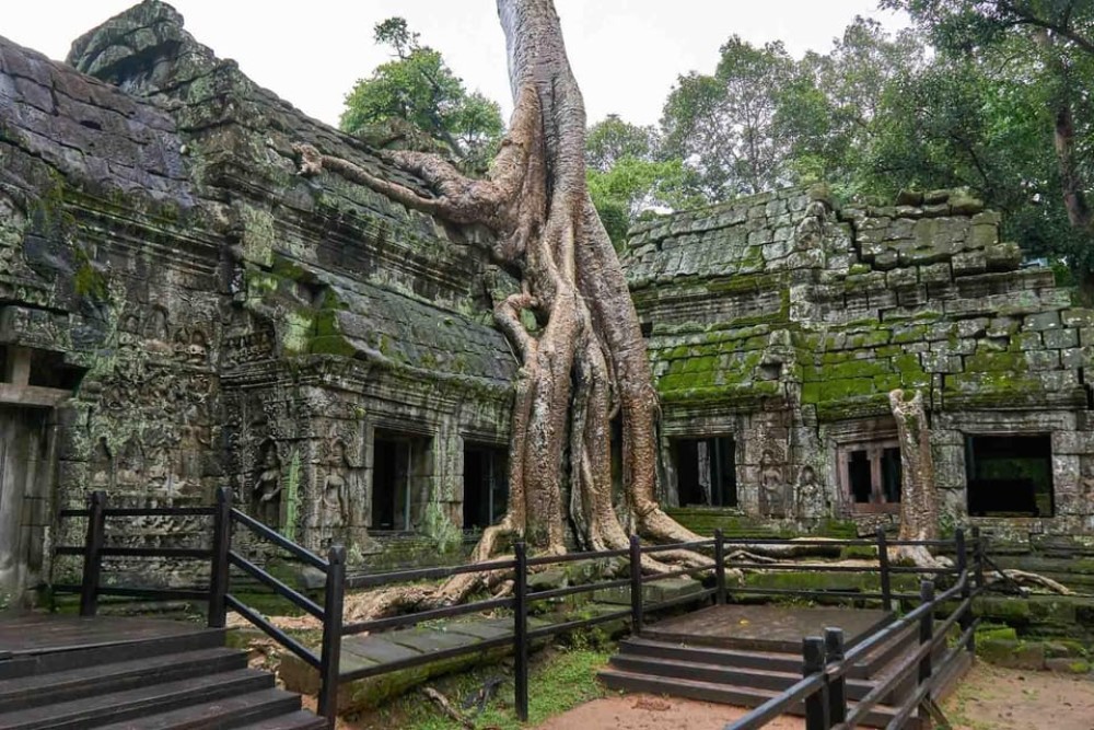 Angkor Zipline and Temple Tour with Sunset | ®ExcursionMania