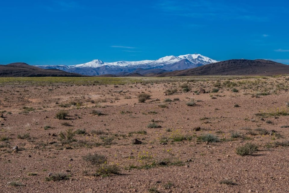 From Marrakesh: Atlas Mountains and Sahara Desert Car Tour | ®ExcursionMania