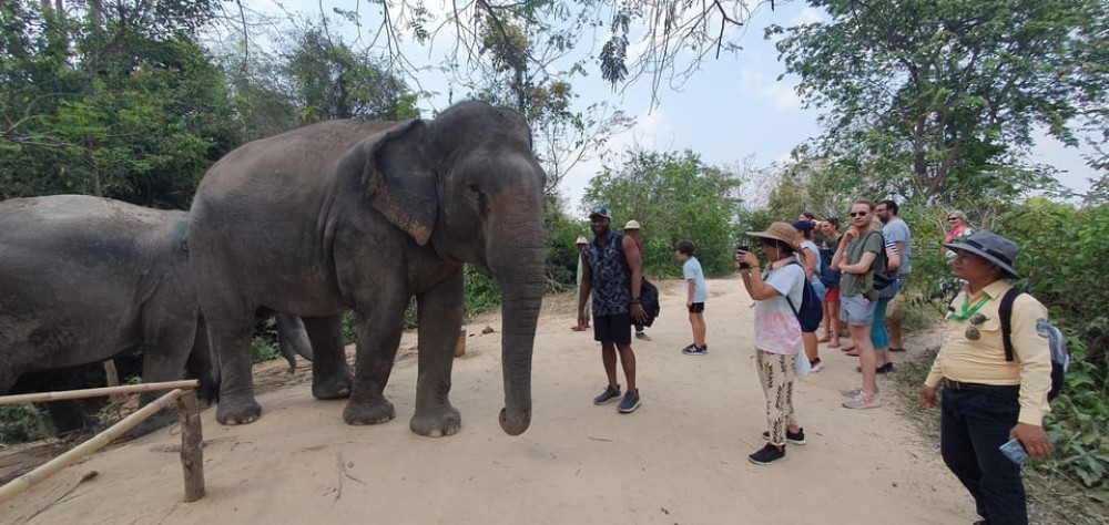 Kulen Elephant Forest & Tonlesap Lake Include boat /Transfer | ®ExcursionMania