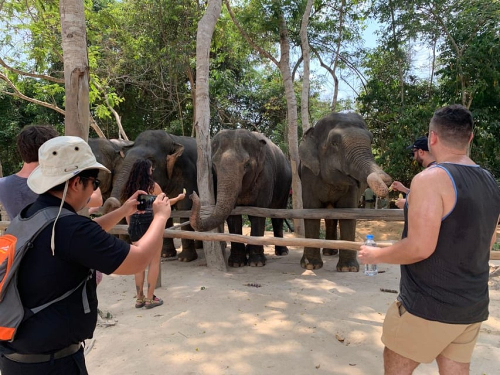 Kulen Elephant Forest & Tonlesap Lake Include boat /Transfer | ®ExcursionMania