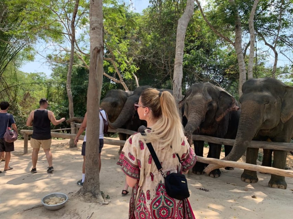 Kulen Elephant Forest & Tonlesap Lake Include boat /Transfer | ®ExcursionMania