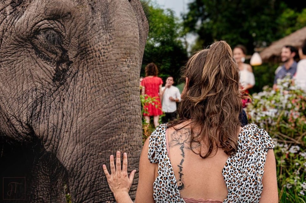 Kulen Elephant Forest & Tonlesap Lake Include boat /Transfer | ®ExcursionMania