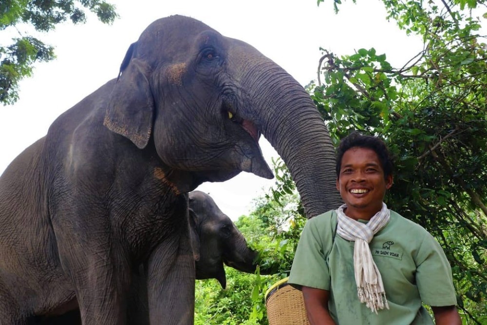 Kulen Elephant Forest & Tonlesap Lake Include boat /Transfer | ®ExcursionMania