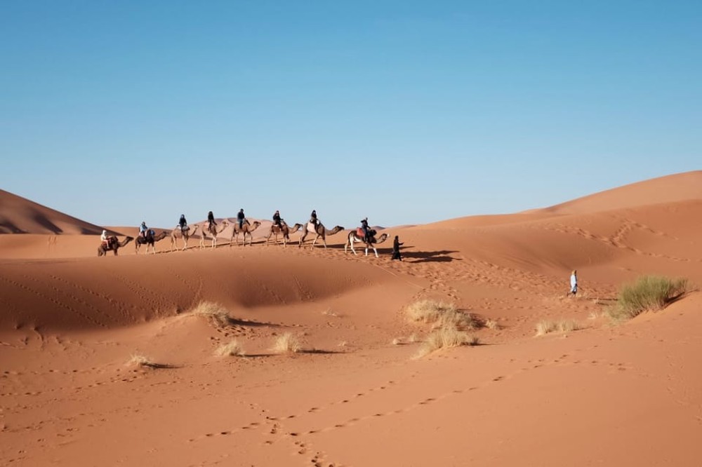 Fes To Marrakech: 3-Day Desert Tour | ®ExcursionMania