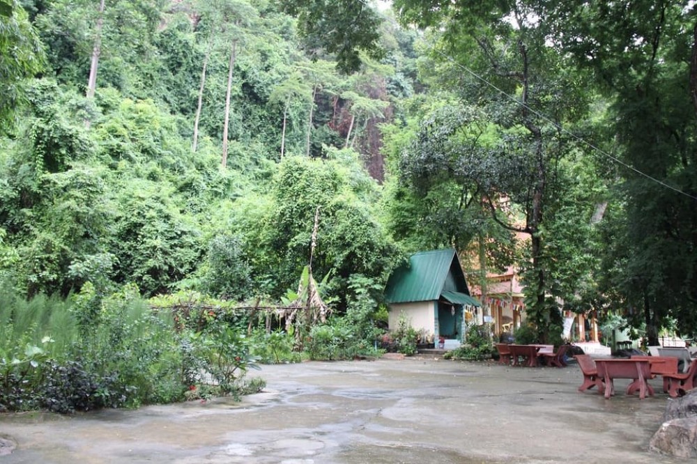 From Siem Reap: Phnom Kulen National Park Trekking Tour | ®ExcursionMania