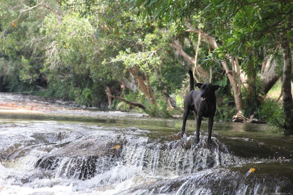 From Siem Reap: Phnom Kulen National Park Trekking Tour | ®ExcursionMania