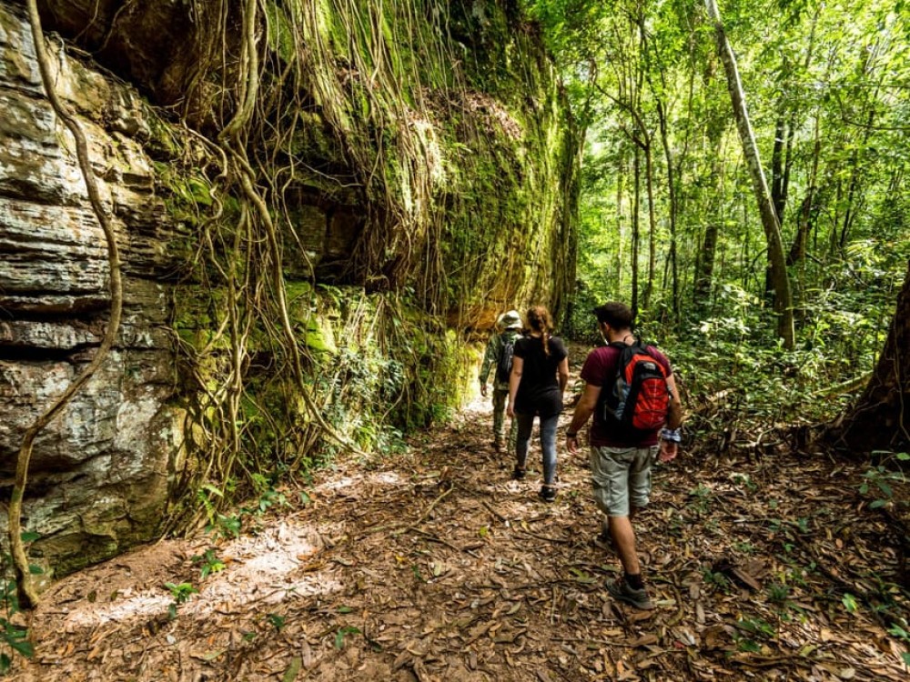 From Siem Reap: Phnom Kulen National Park Trekking Tour | ®ExcursionMania