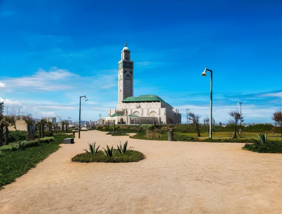 Casablanca Unveiled: Mosque and Urban Exploration | ®ExcursionMania